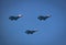 â€Israel`s 73rd independence day - IAF flyover - F35